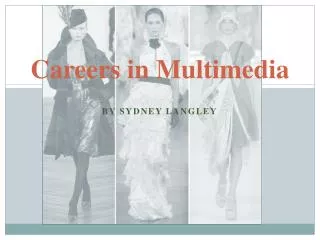 Careers in Multimedia