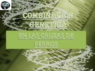 combinacion genetica