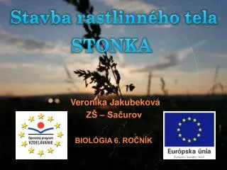 veronika jakubekov z sa urov