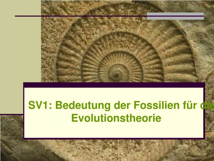 sv1 bedeutung der fossilien f r die evolutionstheorie