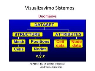 vizualizavimo sistemos
