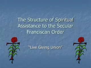 The Structure of Spiritual Assistance to the Secular Franciscan Order