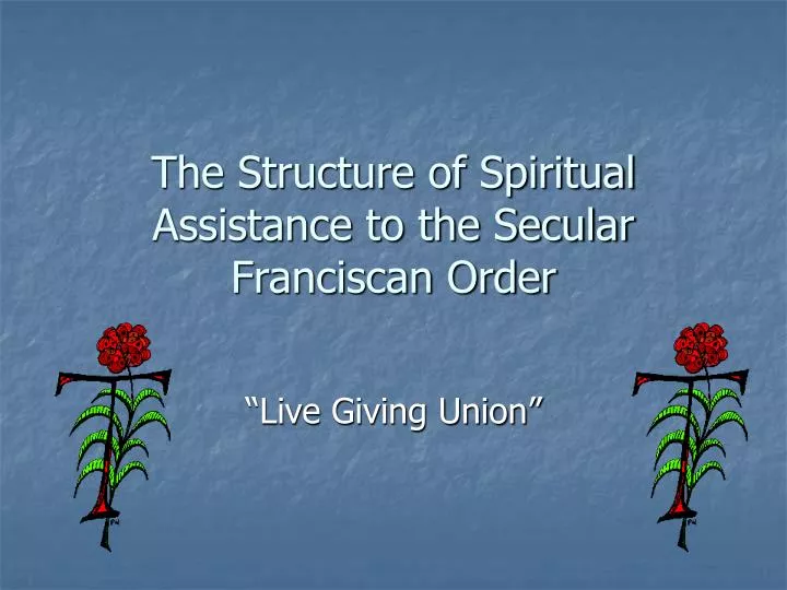 the structure of spiritual assistance to the secular franciscan order
