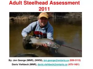 Adult Steelhead Assessment 2011