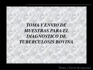 toma y envio de muestras para el diagnostico de tuberculosis bovina