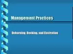 Management Practices - slide 1