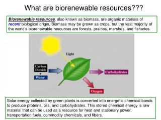 What are biorenewable resources???