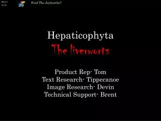 Hepaticophyta The liverworts