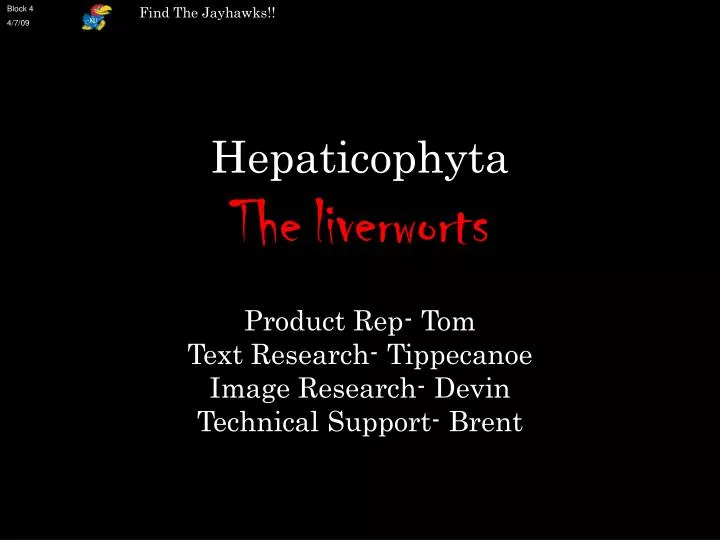 hepaticophyta the liverworts
