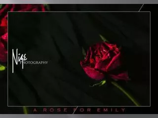 A Rose For Emily