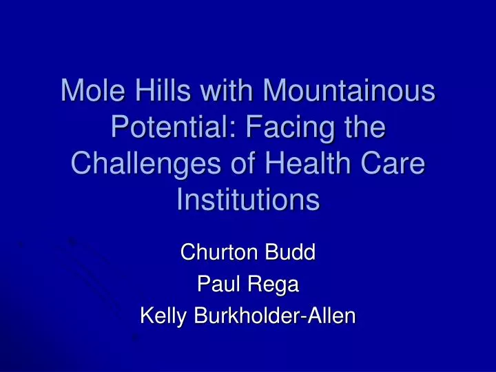 mole hills with mountainous potential facing the challenges of health care institutions