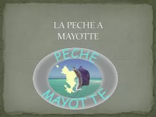la peche a mayotte