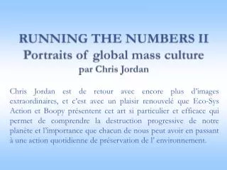 running the numbers ii portraits of global mass culture par chris jordan