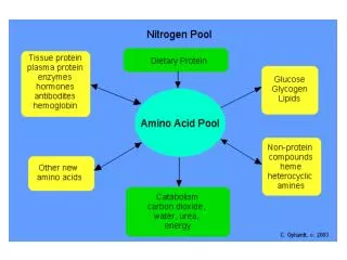 All tissues in the body have limited capability for synthesis of: