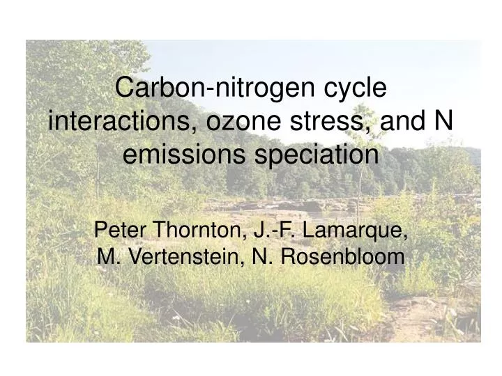 carbon nitrogen cycle interactions ozone stress and n emissions speciation