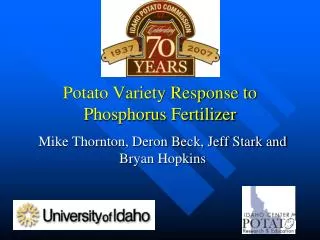 potato variety response to phosphorus fertilizer