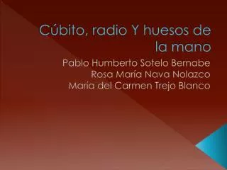 c bito radio y huesos de la mano