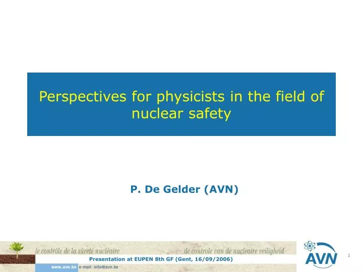 perspectives for physicists in the field of nuclear safety