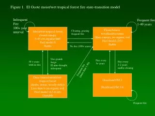 Figure 1. El Ocote moist/wet tropical forest fire state-transition model