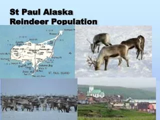 St Paul Alaska Reindeer Population