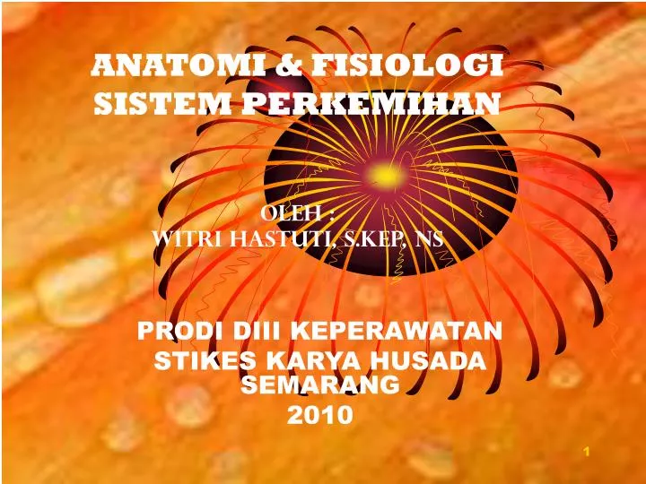 anatomi fisiologi sistem perkemihan oleh witri hastuti s kep ns