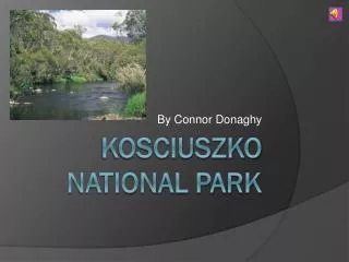 Kosciuszko National Park