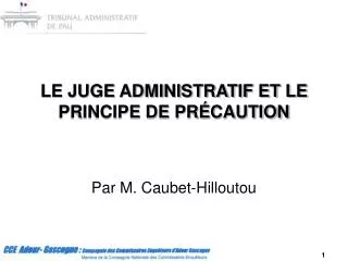 le juge administratif et le principe de pr caution