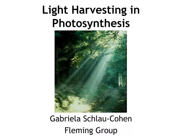 light harvesting in photosynthesis