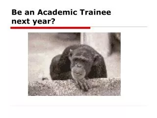 Be an Academic Trainee next year?