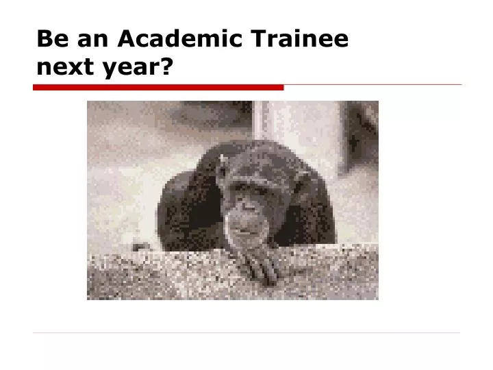 be an academic trainee next year