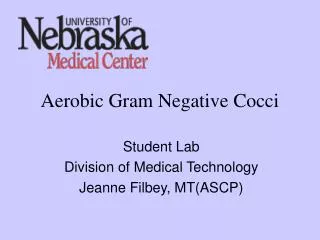 Aerobic Gram Negative Cocci