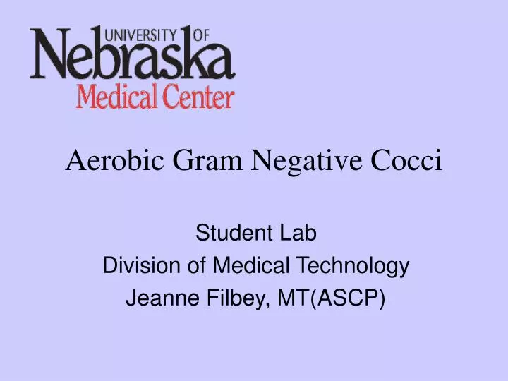 aerobic gram negative cocci
