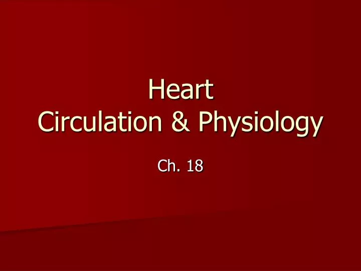 heart circulation physiology