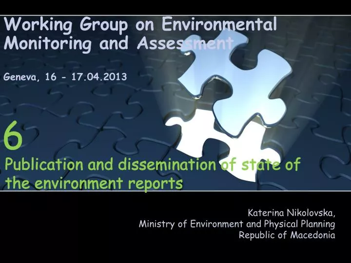working group on environmental monitoring and assessment geneva 16 17 04 2013