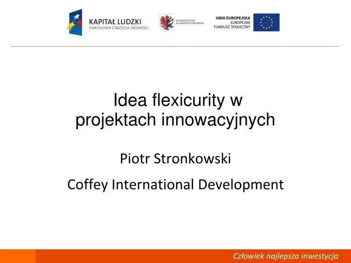 idea flexicurity w projektach innowacyjnych