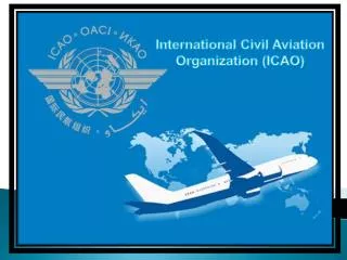 International Civil Aviation Organization (ICAO)