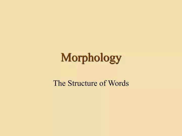morphology
