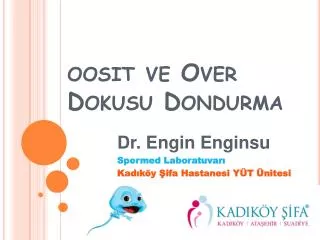 oosit ve over dokusu dondurma