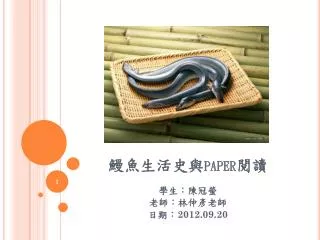 paper