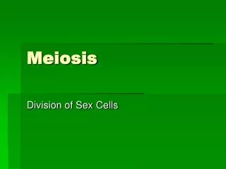 meiosis
