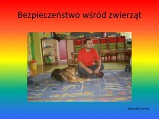 bezpiecze stwo w r d zwierz t
