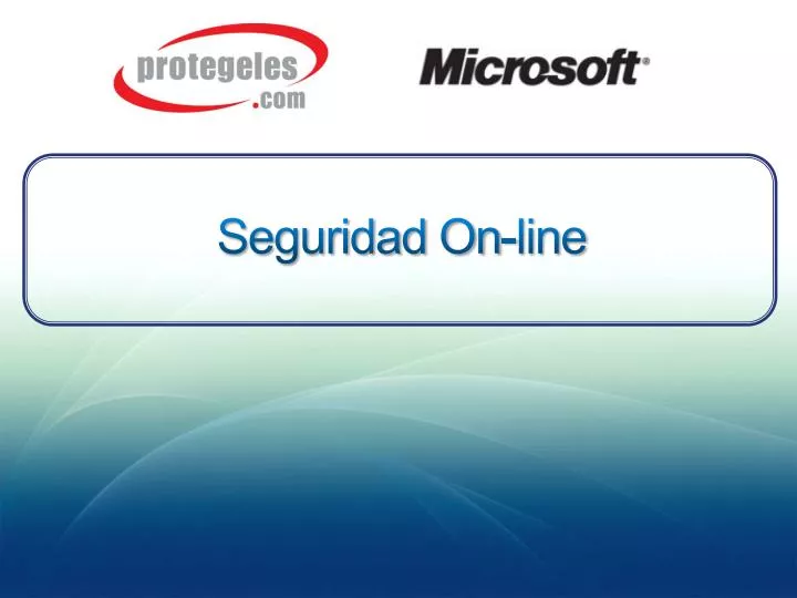 seguridad on line