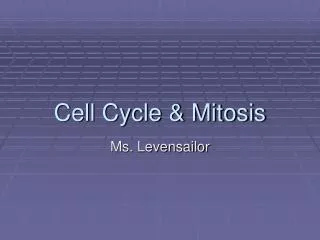 Cell Cycle &amp; Mitosis
