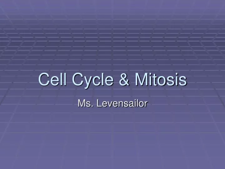 cell cycle mitosis