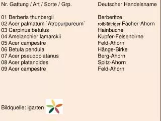 Nr. Gattung / Art / Sorte / Grp . 		Deutscher Handelsname 01 Berberis thunbergii 			Berberitze