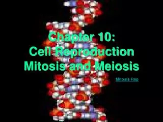 Chapter 10: Cell Reproduction Mitosis and Meiosis
