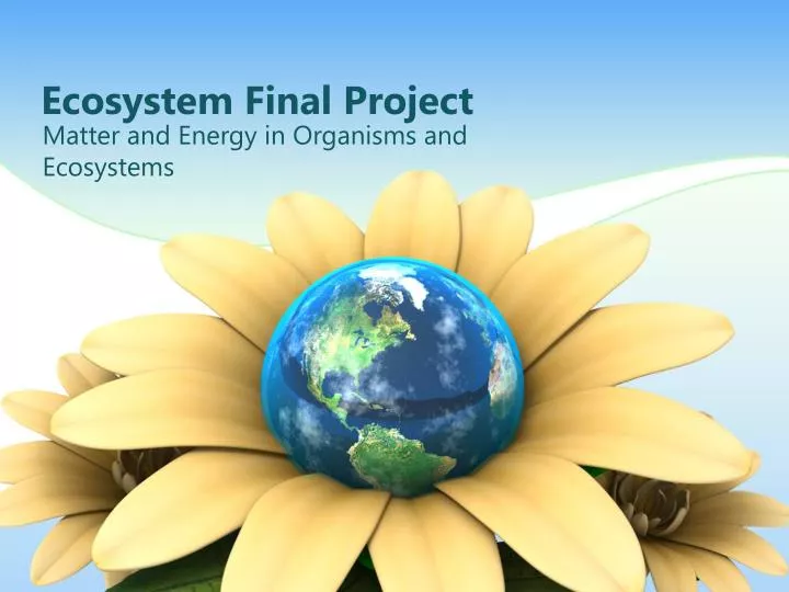 ecosystem final project