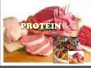 protein