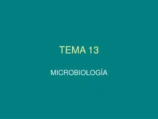tema 13