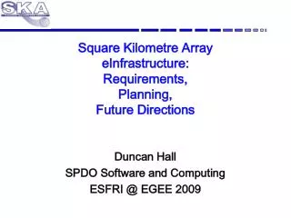 Square Kilometre Array eInfrastructure : Requirements, Planning, Future Directions